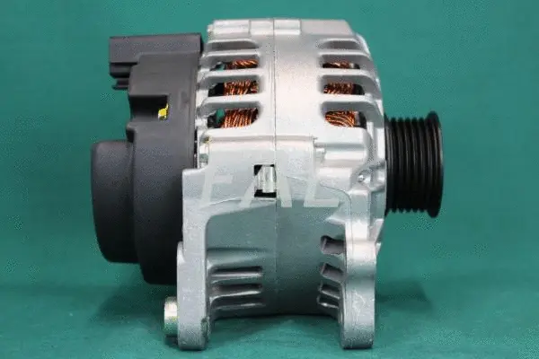 Alternateur FAL Anlasser- und Lichtmaschinenservice F003124/2