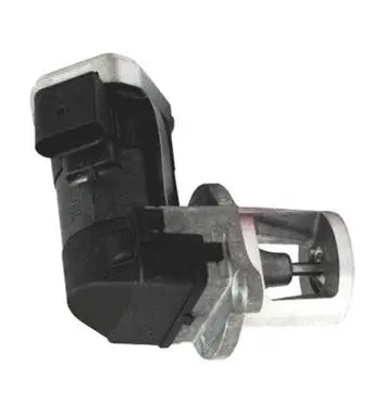 Vanne EGR ASSO 70.0150