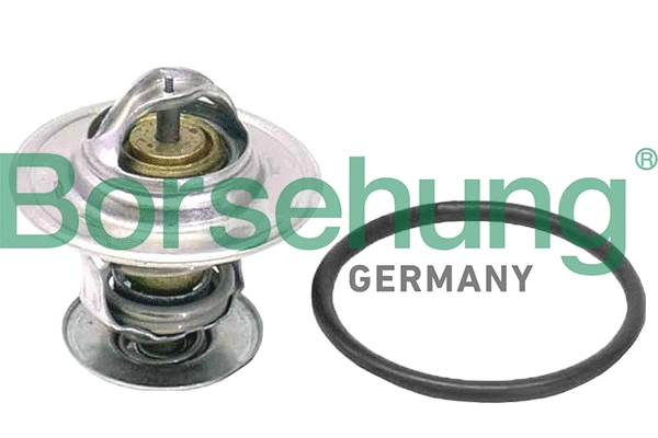 Thermostat, liquide de refroidissement Borsehung B18262