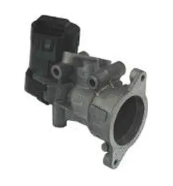 Vanne EGR ASSO 70.0071