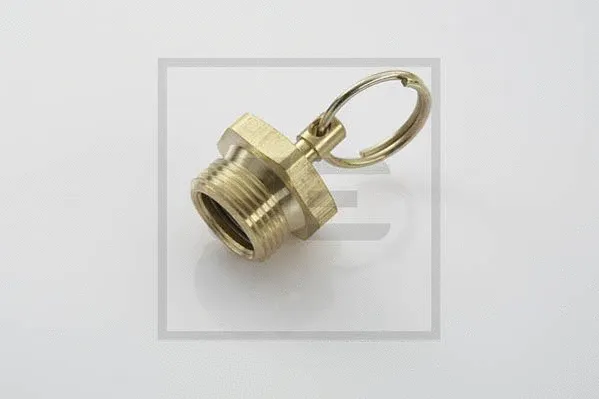 Valve de purge PE Automotive 076.249-00A