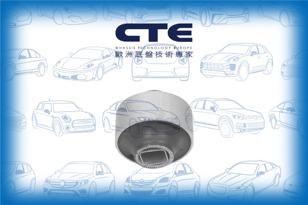 Suspension, bras de liaison CTE CBH02022