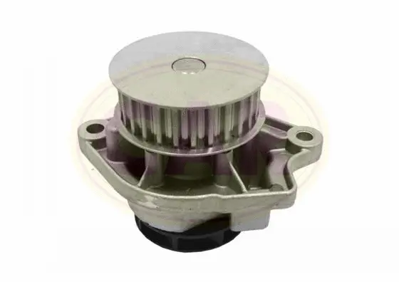 Pompe à eau, refroidissement du moteur CAR 332212