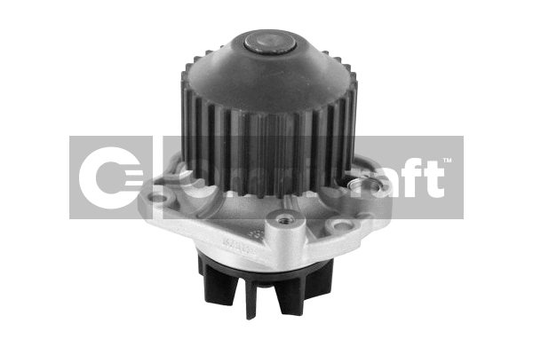Pompe à eau, refroidissement du moteur Omnicraft 2317364