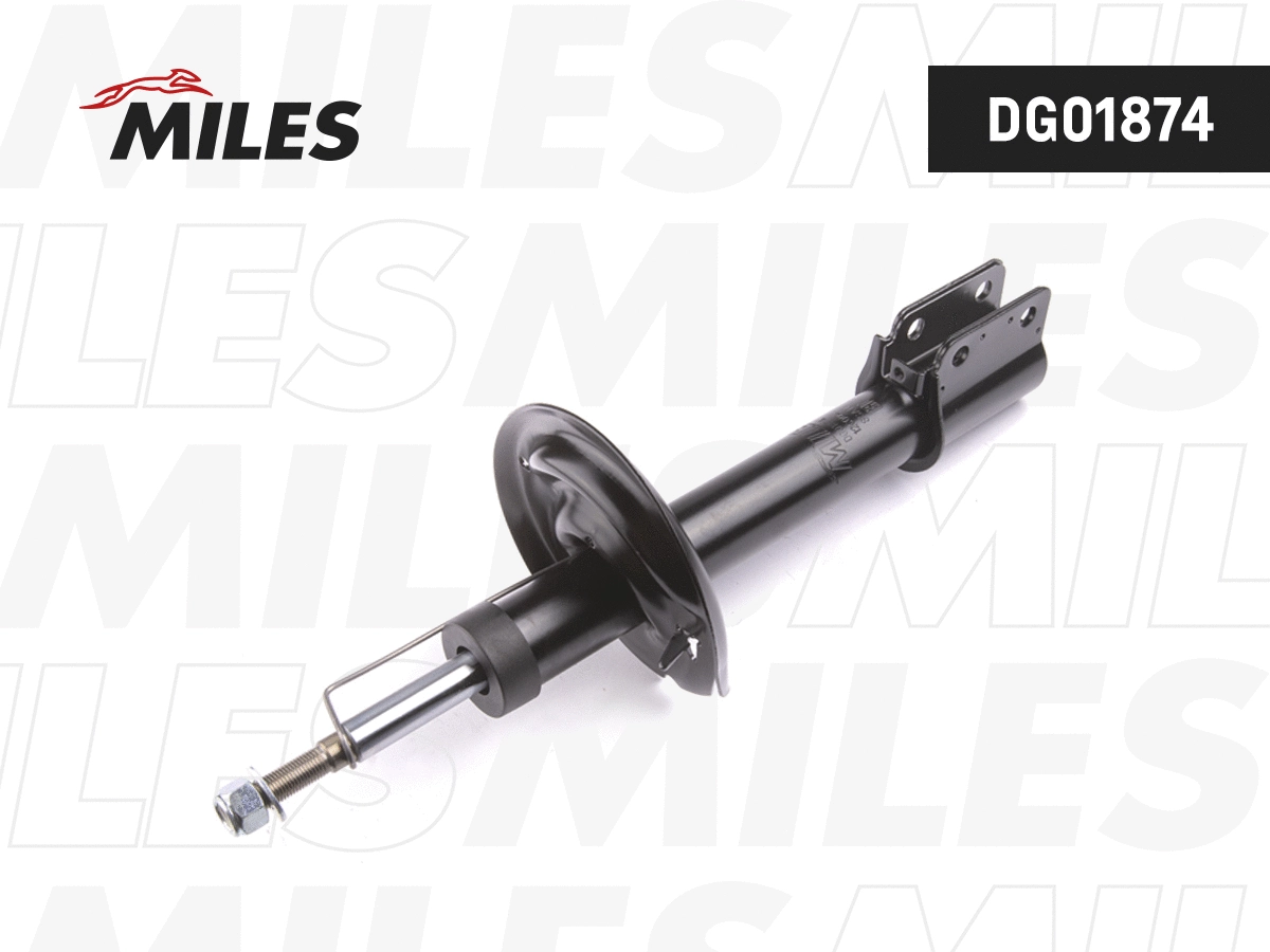 Amortisseur MILES DG01874