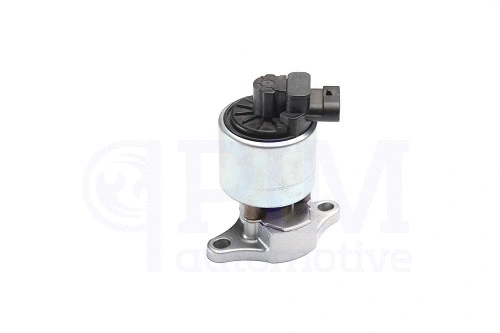 Vanne EGR PIM 40790060