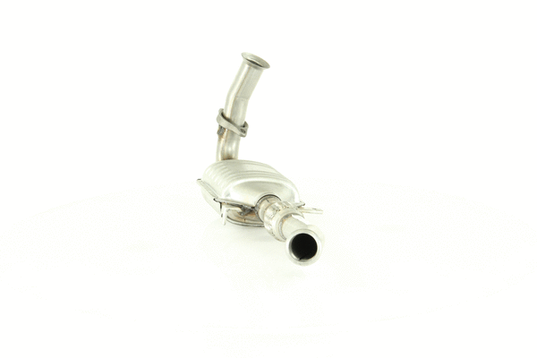 Catalyseur WALKER 20258