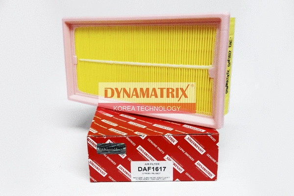 Filtre à air DYNAMATRIX DAF1617