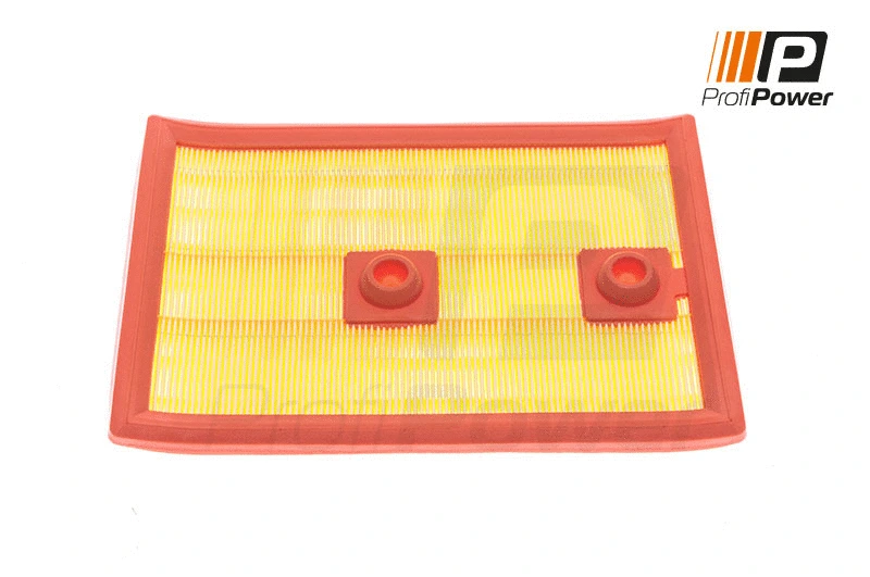 Filtre à air ProfiPower 2F0022