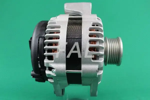 Alternateur FAL Anlasser- und Lichtmaschinenservice F013676/1