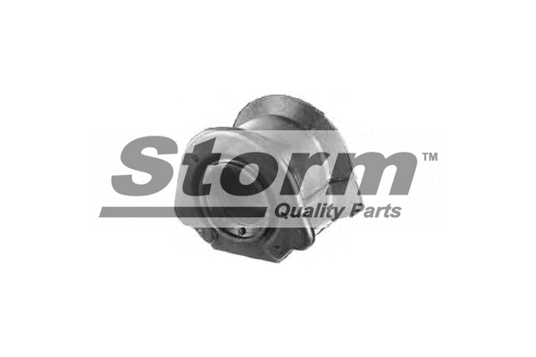 Suspension, stabilisateur STORM QUALITY PARTS 704440