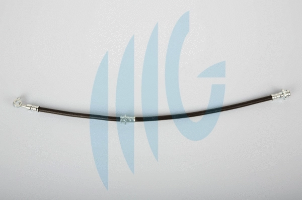 Flexible de frein RICAMBIFLEX GM 02101161
