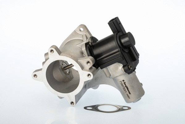 Vanne EGR BorgWarner 710575D