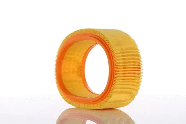 Filtre à air PZL Filters WA20350