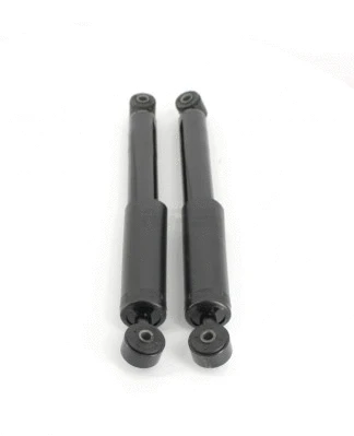 Amortisseur NPS F497T01