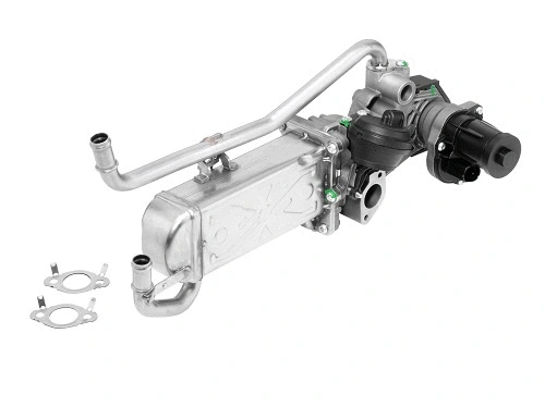 Module-EGR BorgWarner 710863R