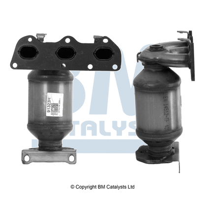 Catalyseur BM CATALYSTS BM91323H