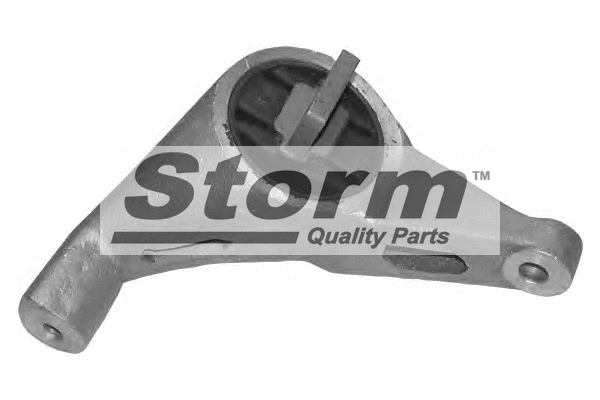 Support moteur STORM QUALITY PARTS F2486