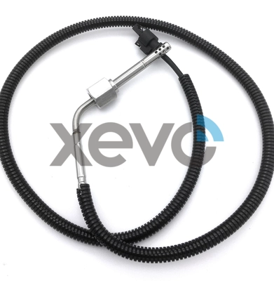 Capteur, température des gaz XEVO XLS2019