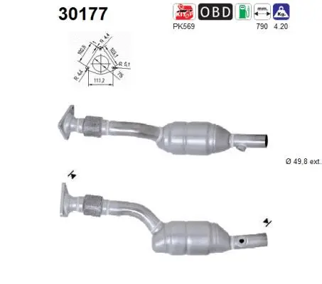 Catalyseur AS 30177