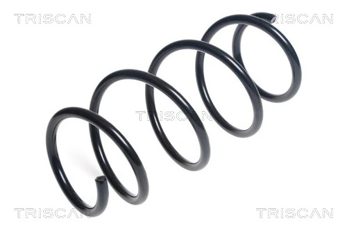 Ressort de suspension TRISCAN 8750 13220