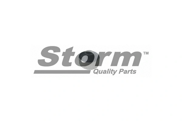 Suspension, bras de liaison STORM QUALITY PARTS F2022