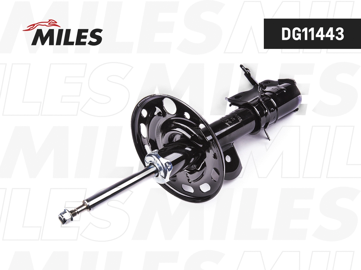 Amortisseur MILES DG11443