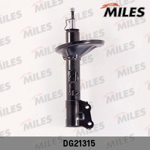 Amortisseur MILES DG21315