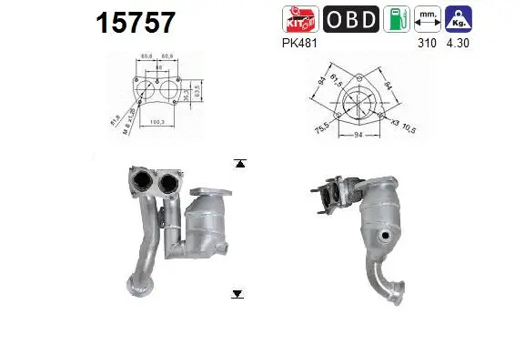 Catalyseur AS 15757