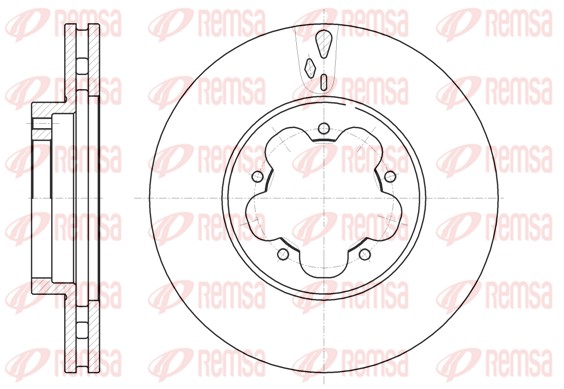 Disque de frein REMSA 61021.10