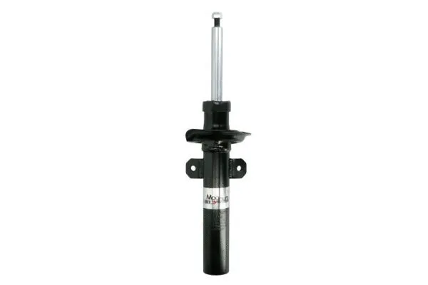 Amortisseur Magnum Technology AGG118MT