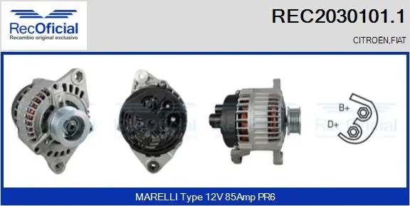 Alternateur RECOFICIAL REC2030101.1