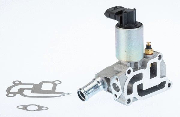 Vanne EGR BorgWarner 710775D