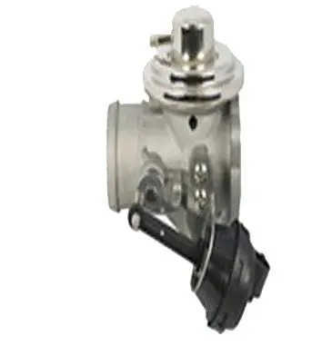 Vanne EGR ASSO 70.0022