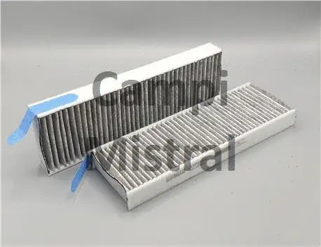 Filtre, air de l'habitacle Mistral Filter AVF0307C