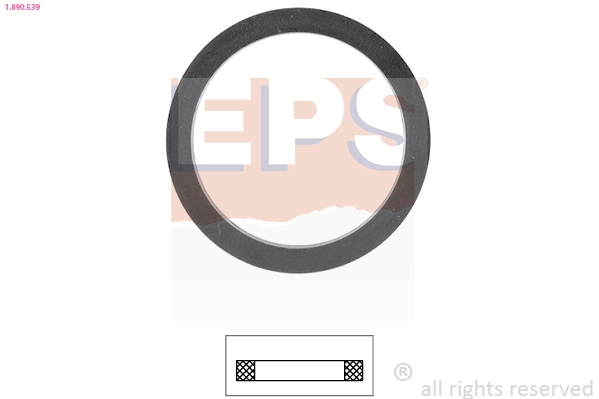 Joint, thermostat EPS 1.890.539
