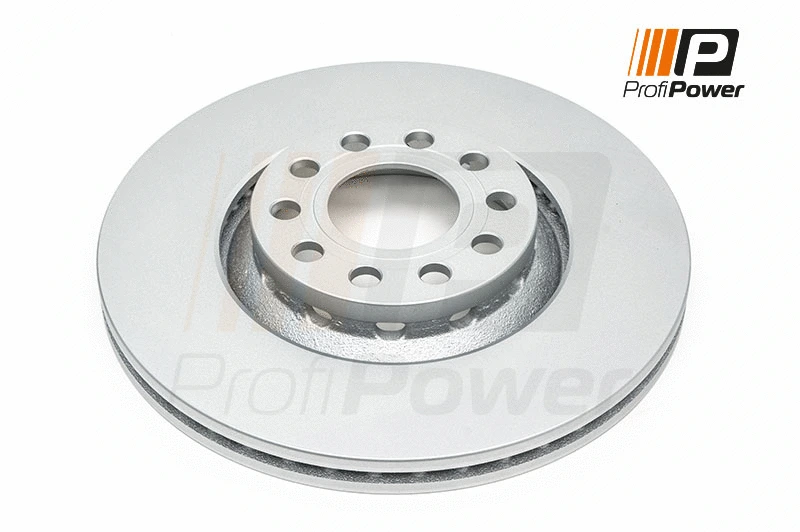 Disque de frein ProfiPower 3B1081