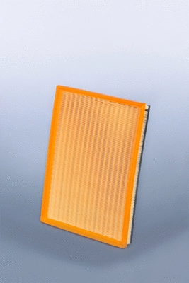 Filtre à air FLEETGUARD AF27833
