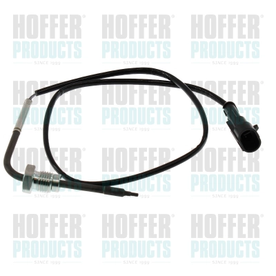 Capteur, température des gaz HOFFER 7452749