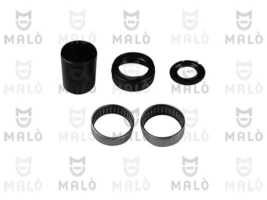 Kit de réparation, corps de l'essieu AKRON-MALÒ 30424