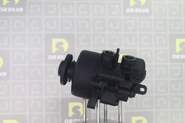 Pompe hydraulique, direction DA SILVA DP3546