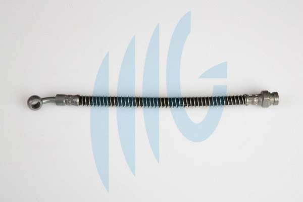 Flexible de frein RICAMBIFLEX GM 02160850