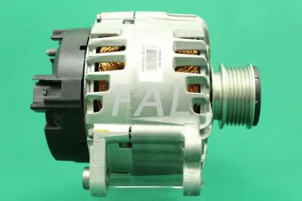 Alternateur FAL Anlasser- und Lichtmaschinenservice F000513/1