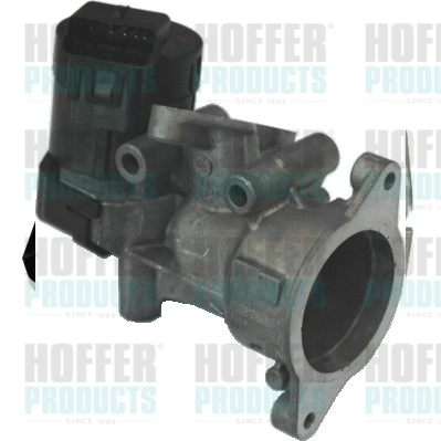 Vanne EGR HOFFER 7518117R