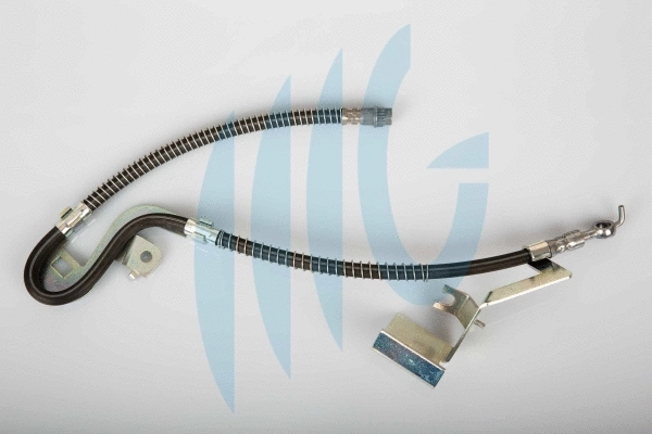 Flexible de frein RICAMBIFLEX GM 02380549