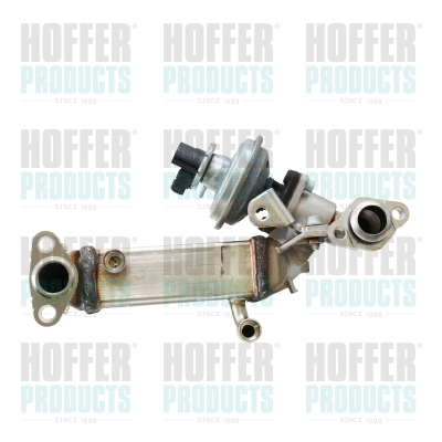 Module-EGR HOFFER 7518773