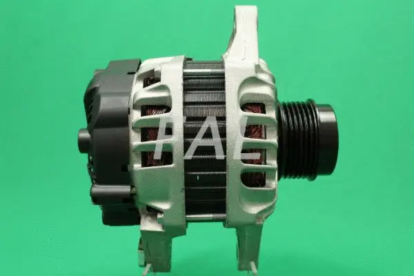 Alternateur FAL Anlasser- und Lichtmaschinenservice F015673/1