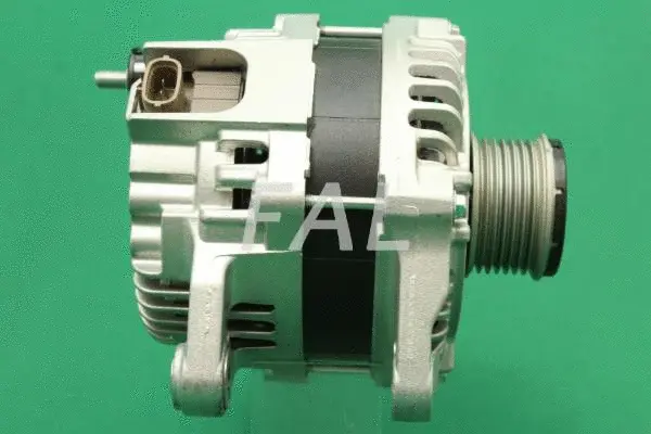 Alternateur FAL Anlasser- und Lichtmaschinenservice F013988/1