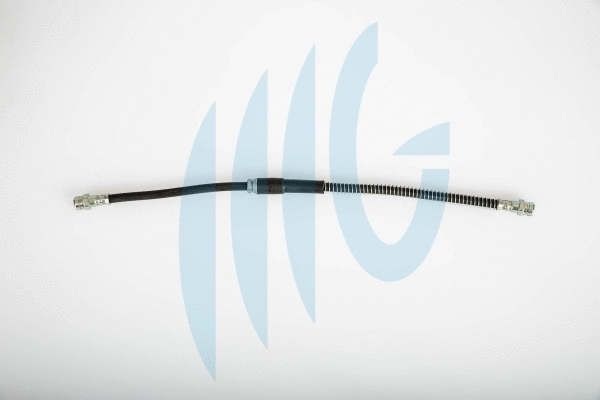 Flexible de frein RICAMBIFLEX GM 02020139