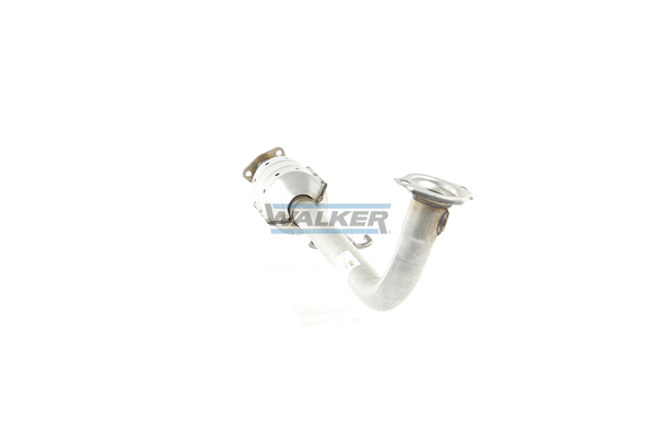 Catalyseur WALKER 20815